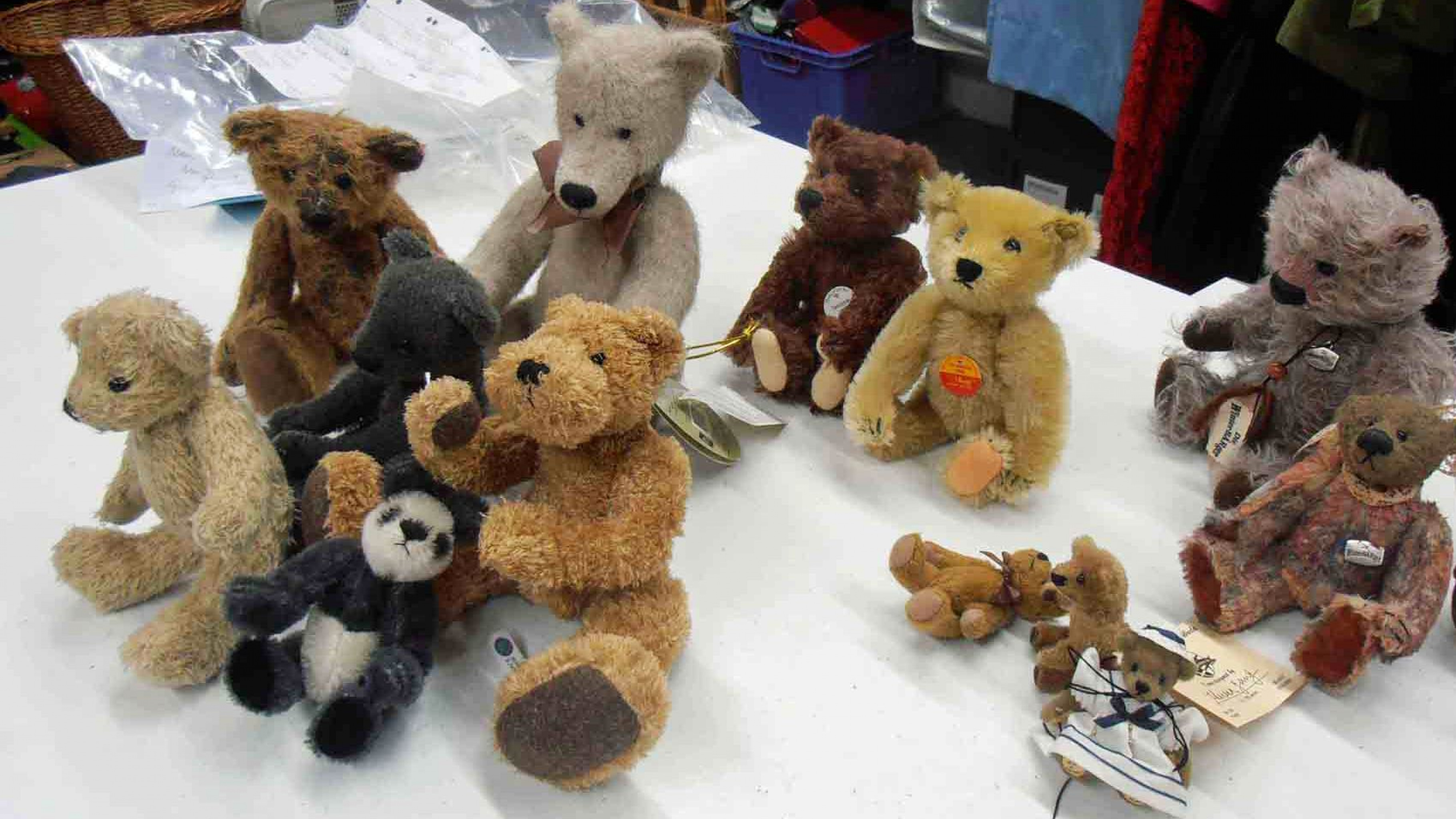 Bären und Teddys im Oxfam Shop 