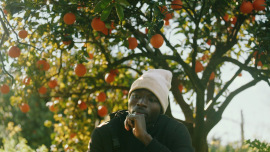 Standbild aus dem Dokumentarfilm THE PICKERS: Seydou (Obstpflücker in Italien) sitzt in nachdenklicher Pose vor einem Orangenbaum