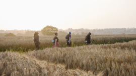 Ein Team von vier Menschen wandert durch Wiesen und Felder in der Abendsonne.