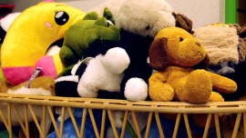 Kuscheltiere im Oxfam Shop
