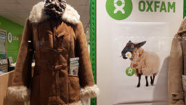 Lammfell-Jacke im Schaufenster eines Oxfam Shops