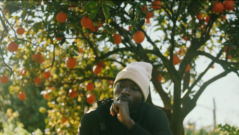 Standbild aus dem Dokumentarfilm THE PICKERS: Seydou aus Mali arbeitet als Obstpflücker in Italien Standbild aus dem Dokumentarfilm THE PICKERS: Seydou (Obstpflücker in Italien) sitzt in nachdenklicher Pose vor einem Orangenbaum