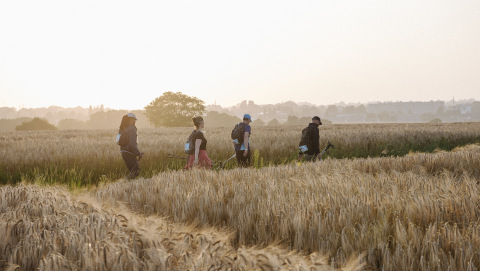 Ein Team von vier Menschen wandert durch Wiesen und Felder in der Abendsonne.