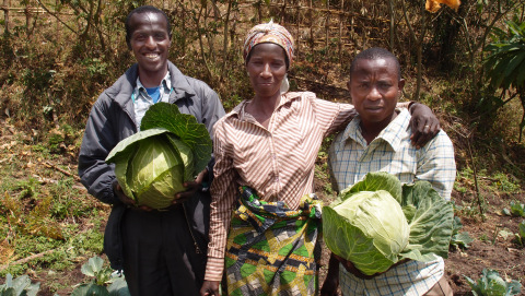 Die 40-Jährige Perusi Nyarukund (m) hat Gemüsekulturen erhalten und begleitet von dem landwirtschaftlichen Berater Aimable (li) einen Gemüsegarten angelegt. Der Projekt-Agronom von UGEAFI, Ilelo A-umba Leli (re), hat den Zaun für den Garten gebaut. Die 40-Jährige Perusi Nyarukund (m) hat Gemüsekulturen erhalten und begleitet von dem landwirtschaftlichen Berater Aimable (li) einen Gemüsegarten angelegt. Der Projekt-Agronom von UGEAFI, Ilelo A-umba Leli (re), hat den Zaun für den Garten gebaut.
